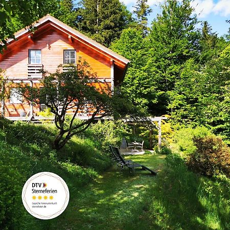 Ferienwohnung Am Woid - Herrliche Alleinlage - Vegane Einrichtung Waldkirchen Εξωτερικό φωτογραφία