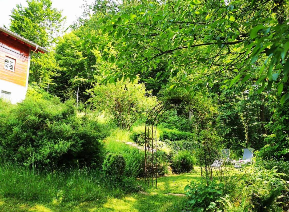 Ferienwohnung Am Woid - Herrliche Alleinlage - Vegane Einrichtung Waldkirchen Εξωτερικό φωτογραφία