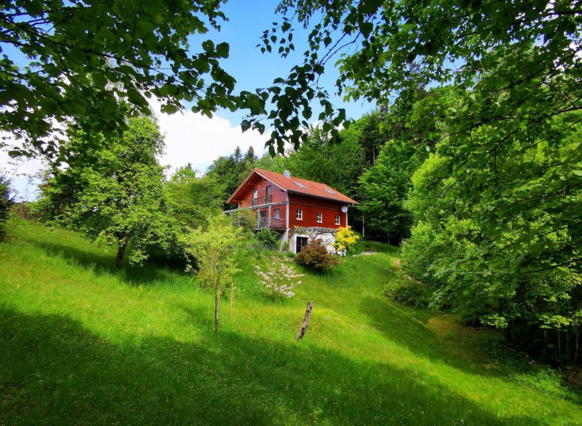 Ferienwohnung Am Woid - Herrliche Alleinlage - Vegane Einrichtung Waldkirchen Εξωτερικό φωτογραφία
